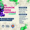 12.Kavacık Üzüm Festivali