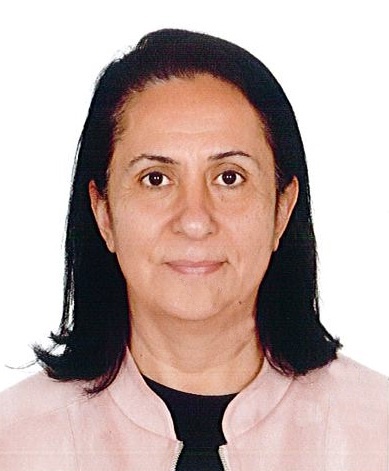 Muhtarlıklar