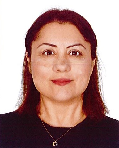 Muhtarlıklar