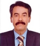Muhtarlıklar