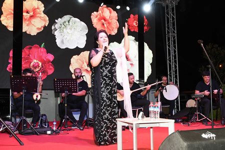 Neşet Ertaş Anma Konseri